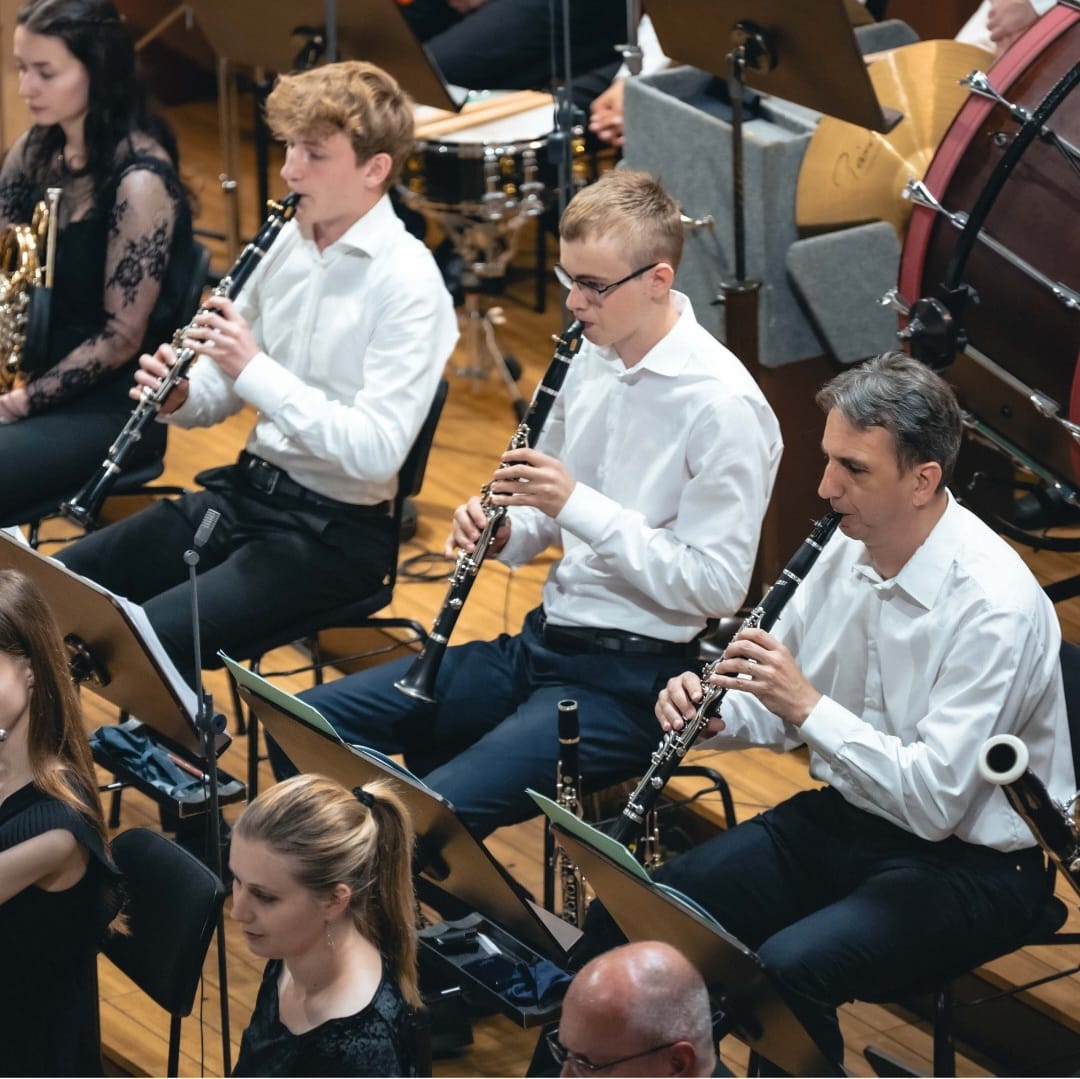 Účast na projektu České filharmonie a ZUŠ ČR a závěrečný koncert v Rudolfinu
